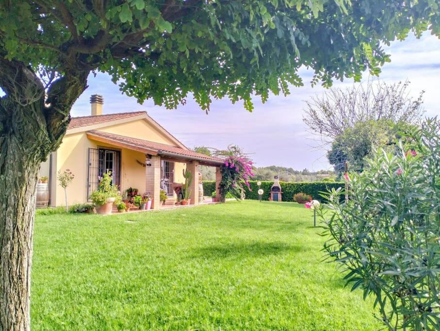 Villetta Rio, Large Private Garden Cecina (Livorno) Exteriör bild