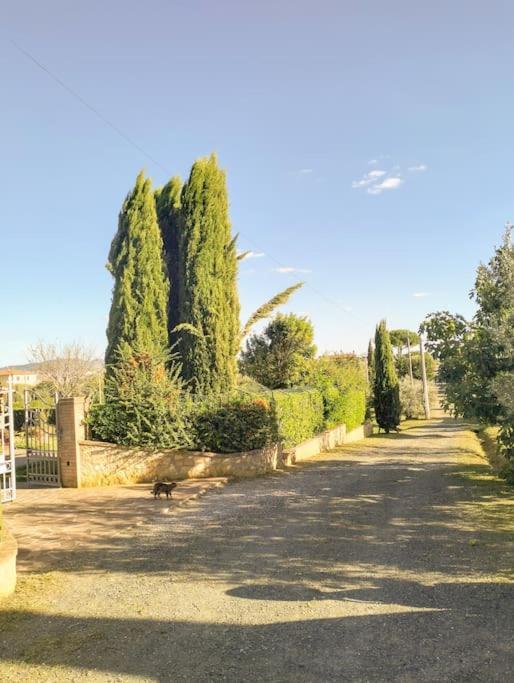 Villetta Rio, Large Private Garden Cecina (Livorno) Exteriör bild